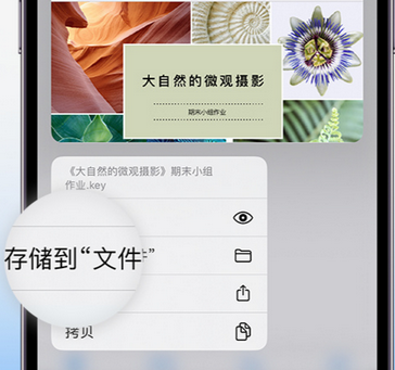 英州镇apple维修中心分享iPhone文件应用中存储和找到下载文件