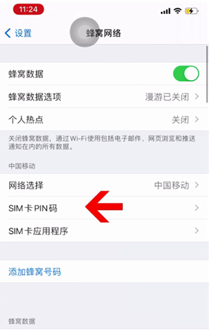 英州镇苹果14维修网分享如何给iPhone14的SIM卡设置密码 