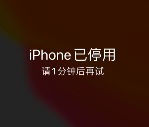 英州镇苹果手机维修分享:iPhone 显示“不可用”或“已停用”怎么办？还能保留数据吗？ 