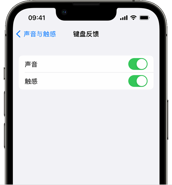 英州镇苹果14维修店分享如何在 iPhone 14 机型中使用触感键盘 