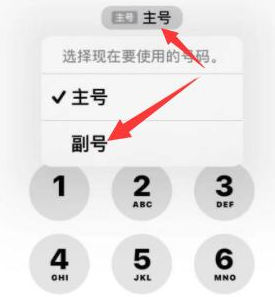 英州镇苹果14维修店分享iPhone 14 Pro Max使用副卡打电话的方法 