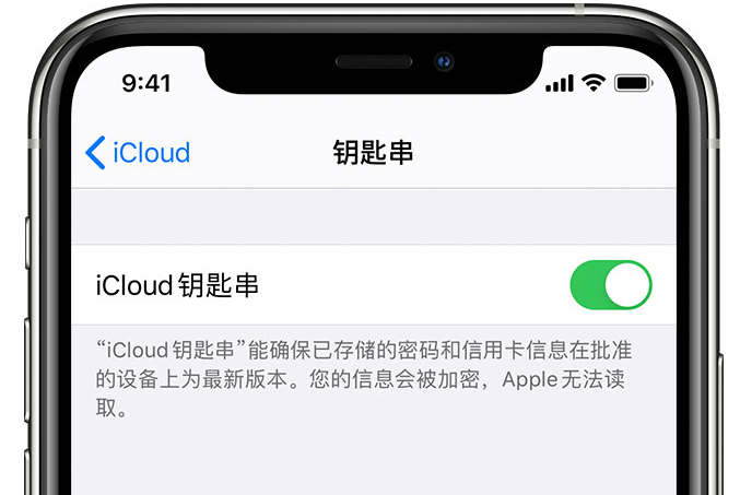 英州镇苹果手机维修分享在 iPhone 上开启 iCloud 钥匙串之后会储存哪些信息 