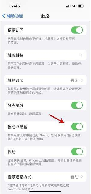 英州镇苹果手机维修分享iPhone手机如何设置摇一摇删除文字 