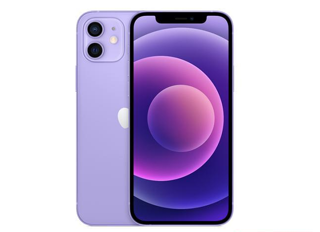英州镇苹果手机维修分享现阶段要不要入手紫色版iPhone12 