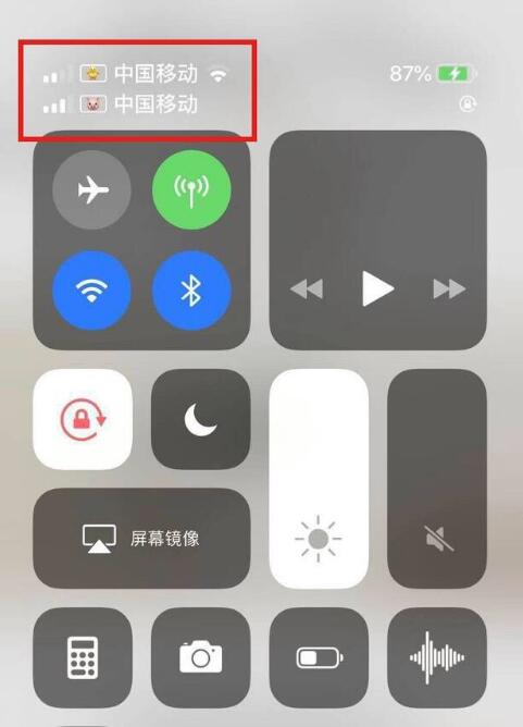 英州镇苹果手机维修分享为 iPhone 12 双卡设置标签 
