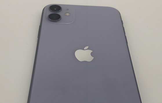 英州镇苹果11系统维修分享iPhone11手机系统崩溃无法开机如何解决 